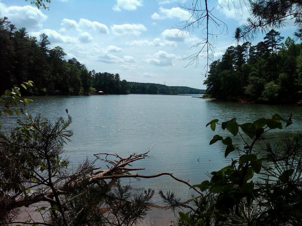 Gallery image 5